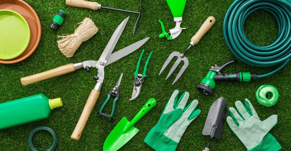 Scène extérieure sur pelouse verte avec disposition organisée d'outils de jardinage professionnels