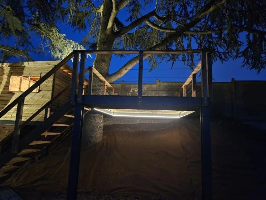 Jardin résidentiel avec abri de jardin moderne en bois